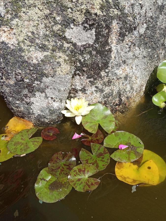 格罗韦O Inino Casita Rural Costera别墅 外观 照片